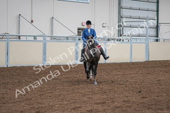 2020 - AB Morgan Horse - Sat, Sept 05 - 05242