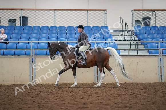 2019 Morgan Horse Show - Aug 30, 2019 - 22339