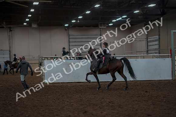 2019 Morgan Horse Show - Aug 30, 2019 - 28345