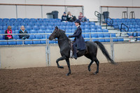 2019 Morgan Horse Show - Aug 31, 2019 - 18003