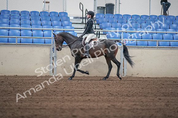 2019 Morgan Horse Show - Sept 01, 2019 - 03705
