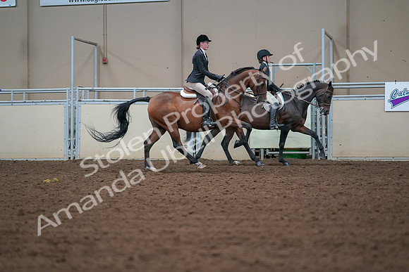 2019 Morgan Horse Show - Aug 30, 2019 - 21008