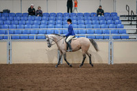 2020 - AB Morgan Horse - Fri, Sept 04 - 10349