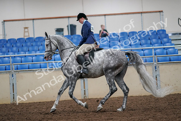 2019 Morgan Horse Show - Aug 30, 2019 - 16382