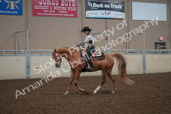 2019 Morgan Horse Show - Aug 30, 2019 - 26051