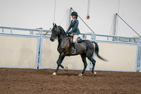 2020 - AB Morgan Horse - Sat, Sept 05 - 09059