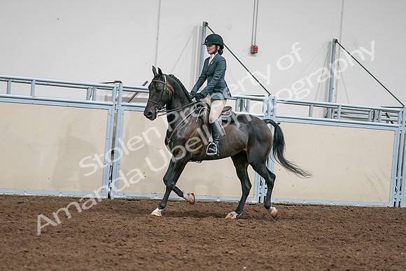 2020 - AB Morgan Horse - Sat, Sept 05 - 09059