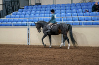 2020 - AB Morgan Horse - Fri, Sept 04 - 07745