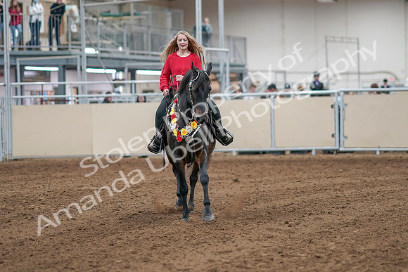 2020 - AB Morgan Horse - Sat, Sept 05 - 10527