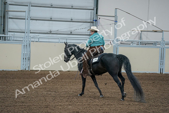 2020 - AB Morgan Horse - Fri, Sept 04 - 00623