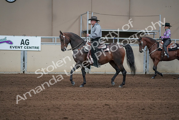2019 Morgan Horse Show - Sept 01, 2019 - 06860