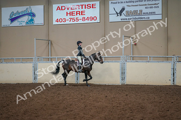 2019 Morgan Horse Show - Aug 30, 2019 - 12473