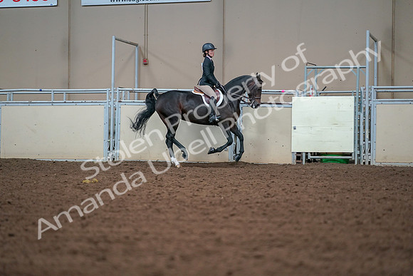 2019 Morgan Horse Show - Aug 30, 2019 - 21091