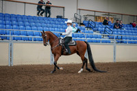 2020 - AB Morgan Horse - Fri, Sept 04 - 03479