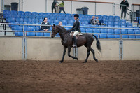 2019 Morgan Horse Show - Sept 01, 2019 - 09006