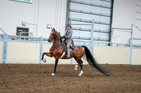 2020 - AB Morgan Horse - Sat, Sept 05 - 12087