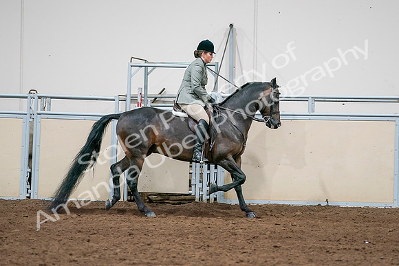 2020 - AB Morgan Horse - Sat, Sept 05 - 14510