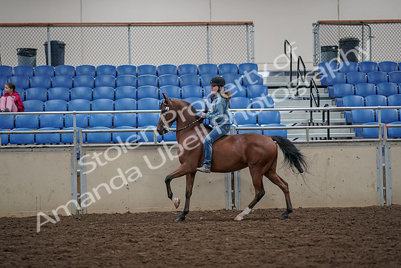 2019 Morgan Horse Show - Aug 30, 2019 - 31329