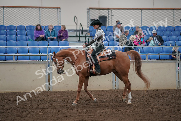 2019 Morgan Horse Show - Aug 30, 2019 - 26111