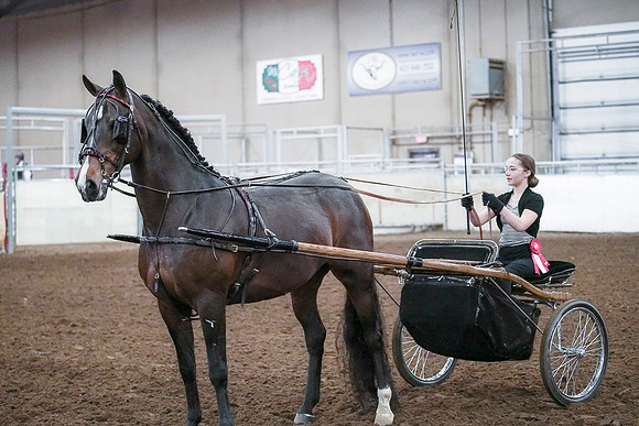 Spring Fling - Saturday - April 20, 2019  -  00320