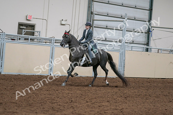 2020 - AB Morgan Horse - Sat, Sept 05 - 13622