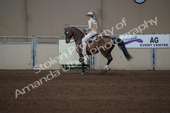 2019 Morgan Horse Show - Sept 01, 2019 - 06978
