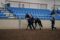 2019 Morgan Horse Show - Aug 31, 2019 - 00500