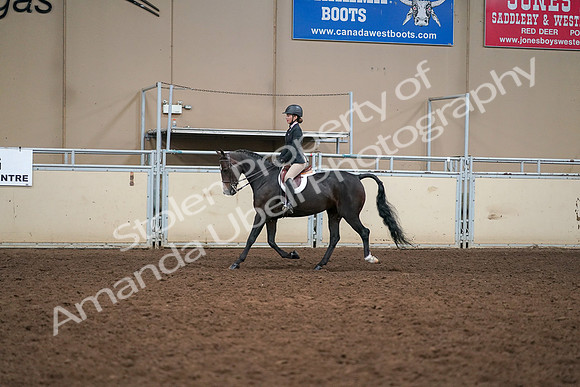 2019 Morgan Horse Show - Aug 30, 2019 - 12195
