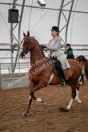 July 19, 2019 - 10263