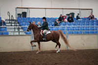 2019 Morgan Horse Show - Aug 31, 2019 - 13785