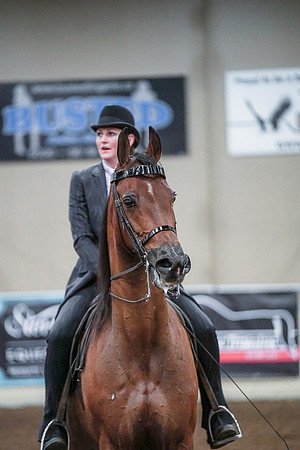 Spring Fling - Saturday - April 20, 2019  -  00875