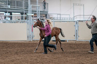 2020 - AB Morgan Horse - Sat, Sept 05 - 00464