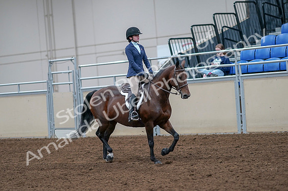 2020 - AB Morgan Horse - Fri, Sept 04 - 06067