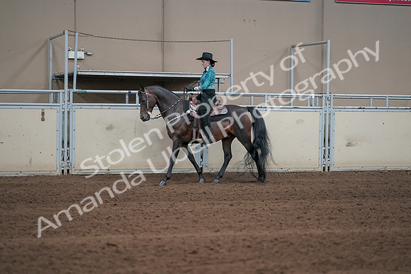2019 Morgan Horse Show - Sept 01, 2019 - 06910