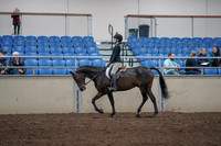 2019 Morgan Horse Show - Aug 31, 2019 - 08039