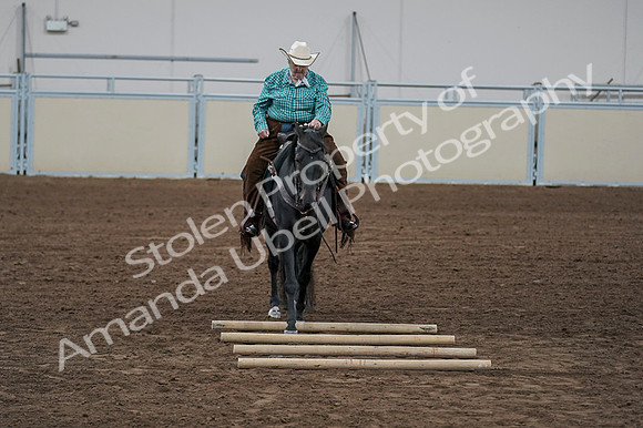2020 - AB Morgan Horse - Fri, Sept 04 - 00516