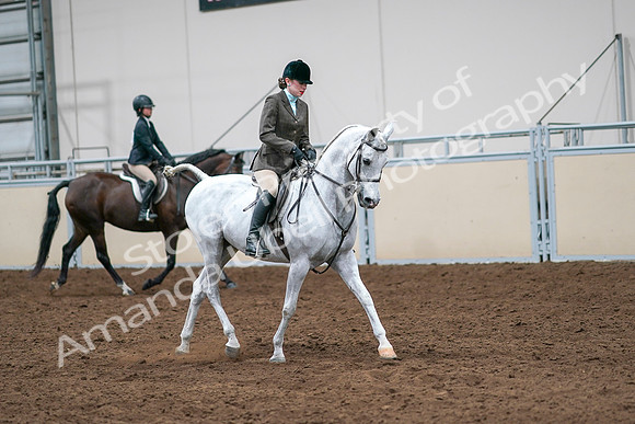 2020 - AB Morgan Horse - Sat, Sept 05 - 14525
