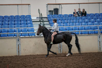 2019 Morgan Horse Show - Aug 30, 2019 - 31042