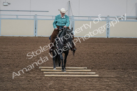 2020 - AB Morgan Horse - Fri, Sept 04 - 00517
