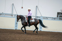2020 - AB Morgan Horse - Fri, Sept 04 - 00543