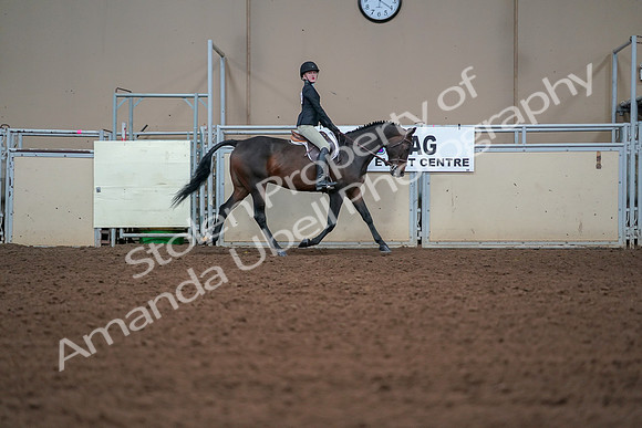2019 Morgan Horse Show - Aug 30, 2019 - 20686