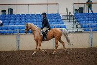 2019 Morgan Horse Show - Aug 30, 2019 - 22187