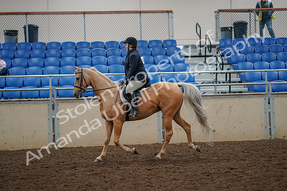 2019 Morgan Horse Show - Aug 30, 2019 - 22187