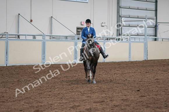 2020 - AB Morgan Horse - Sat, Sept 05 - 05244