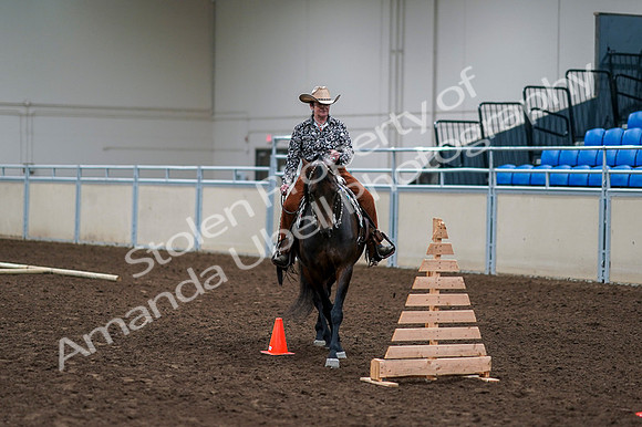 2020 - AB Morgan Horse - Fri, Sept 04 - 00376