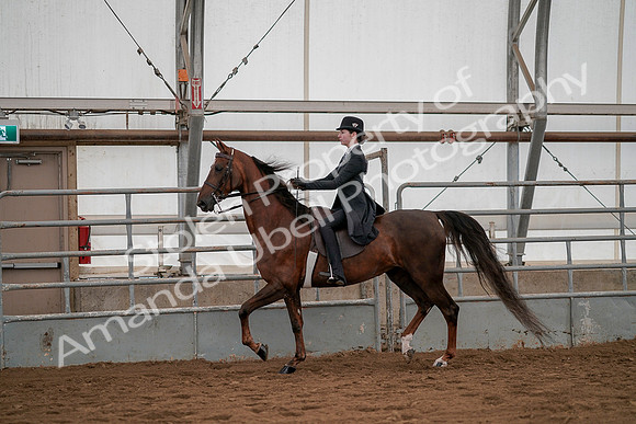 July 19, 2019 - 3005
