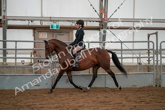 July 19, 2019 - 3921