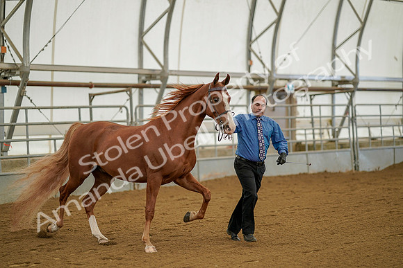 July 19, 2019 - 889