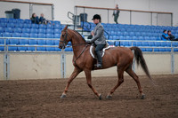 2019 Morgan Horse Show - Sept 01, 2019 - 12154