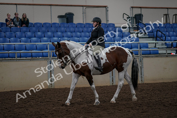 2019 Morgan Horse Show - Aug 30, 2019 - 31123